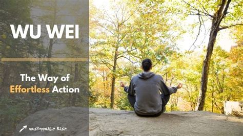 The Tao of Wu Wei: A Journey Through Effortless Action and Cosmic Harmony